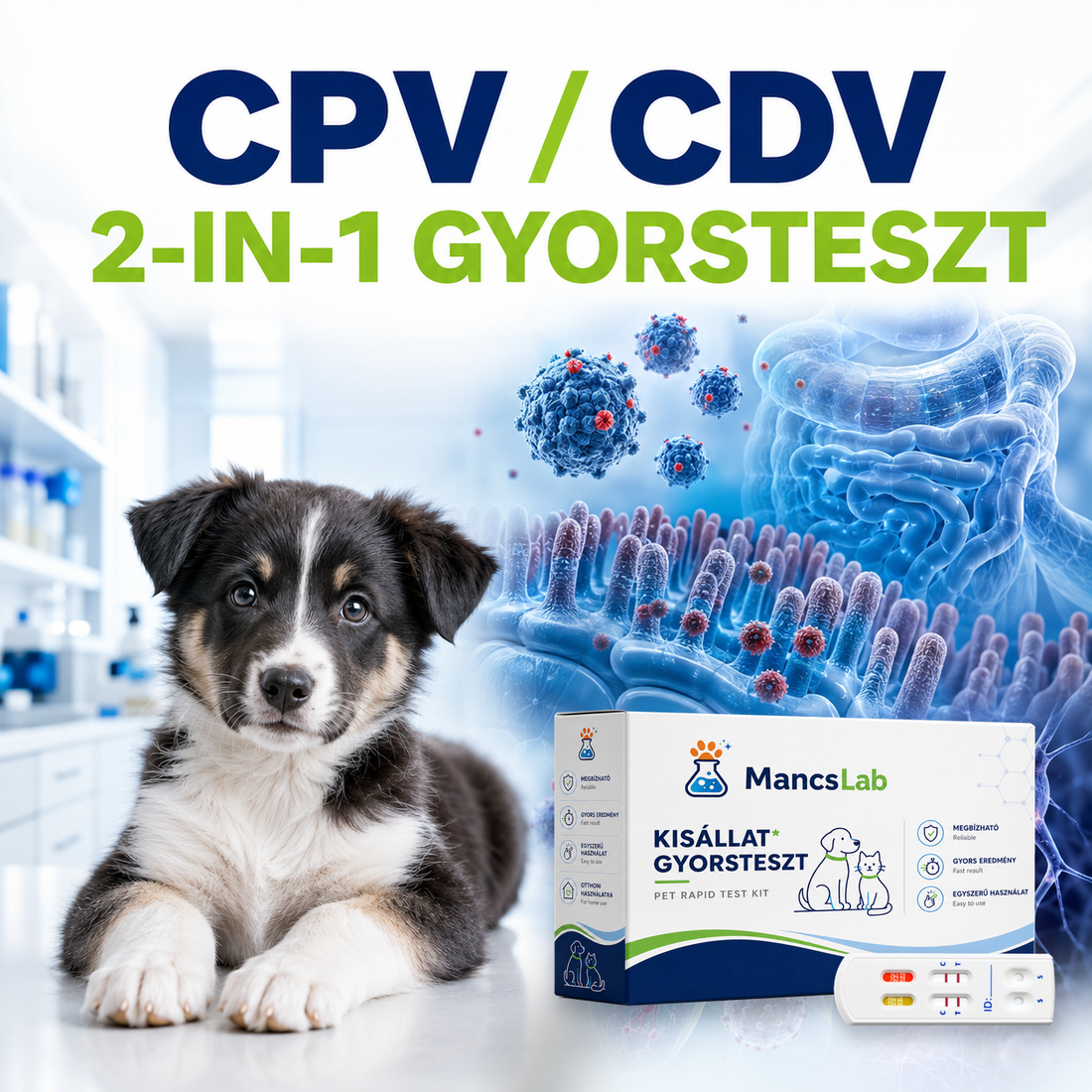 MancsLab CPV/CDV 2 az 1-ben parvovírus és szopornyica gyorsteszt kutyáknak – csomagolás és tesztkazetta