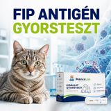 MancsLab FIPV Ag macskakoronavírus antigén gyorsteszt – csomagolás és tesztkazetta