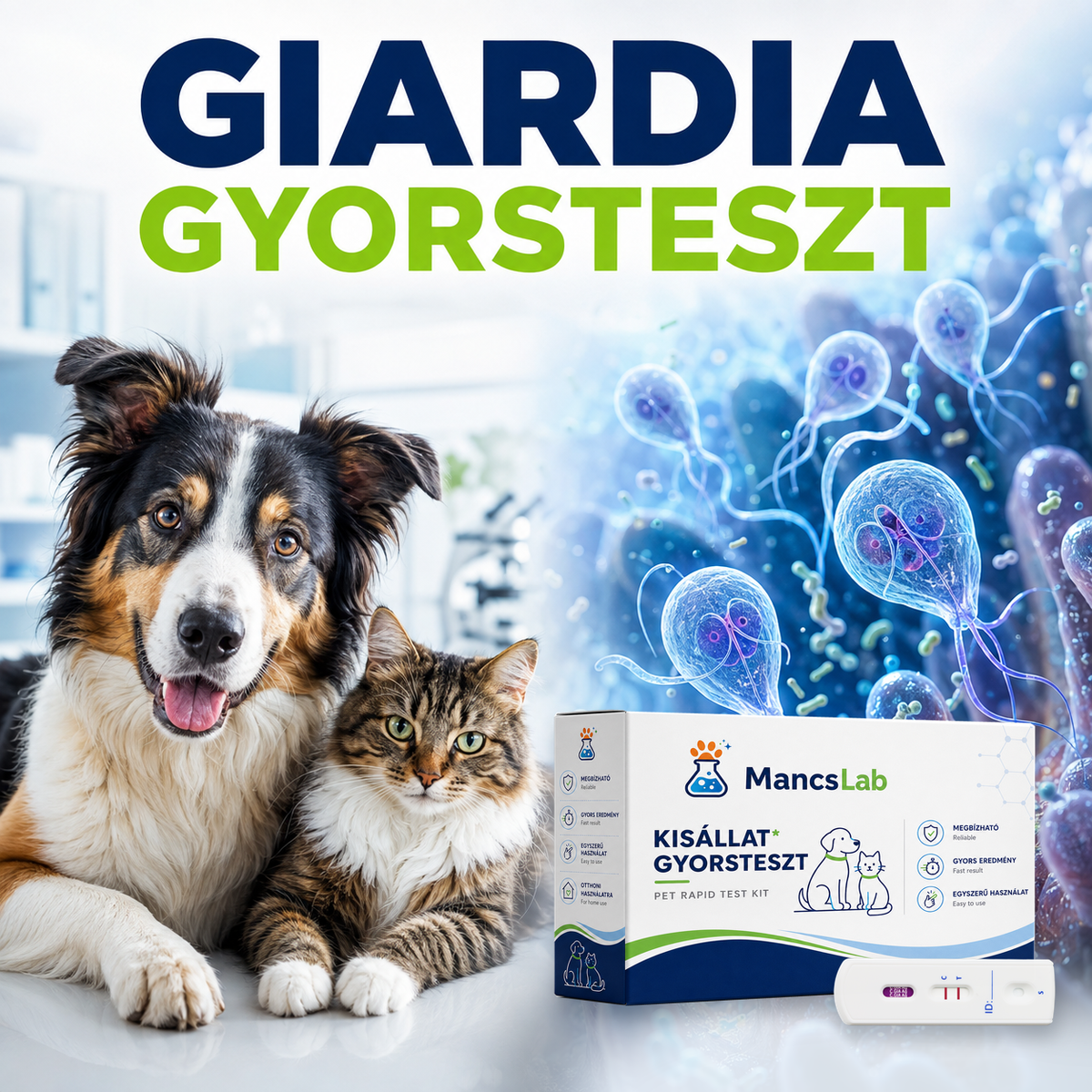 MancsLab Giardia antigén gyorsteszt kutyáknak és macskáknak – csomagolás és tesztkazetta