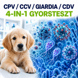 MancsLab CPV/CCV/Giardia/CDV 4 az 1-ben gyorsteszt kutyáknak – csomagolás és tesztkazetta