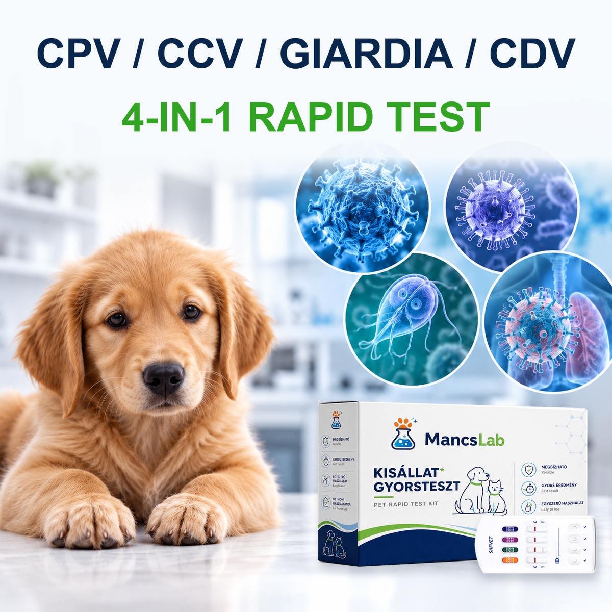 MancsLab CPV/CCV/Giardia/CDV 4-in-1 rapid test for dogs – MancsLab box and Safvet cassette, English text