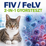 MancsLab FIV Ab/FeLV Ag kombinált gyorsteszt macskáknak – csomagolás és tesztkazetta