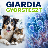 MancsLab Giardia antigén gyorsteszt kutyáknak és macskáknak – csomagolás és tesztkazetta