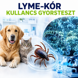 MancsLab Lyme-kór gyorsteszt eltávolított kullancshoz – csomagolás és tesztkazetta